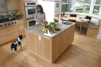 On the edge of Lake Champlain, Jeffrey and Sheila Hollender built their family’s natural and healthy dream home.